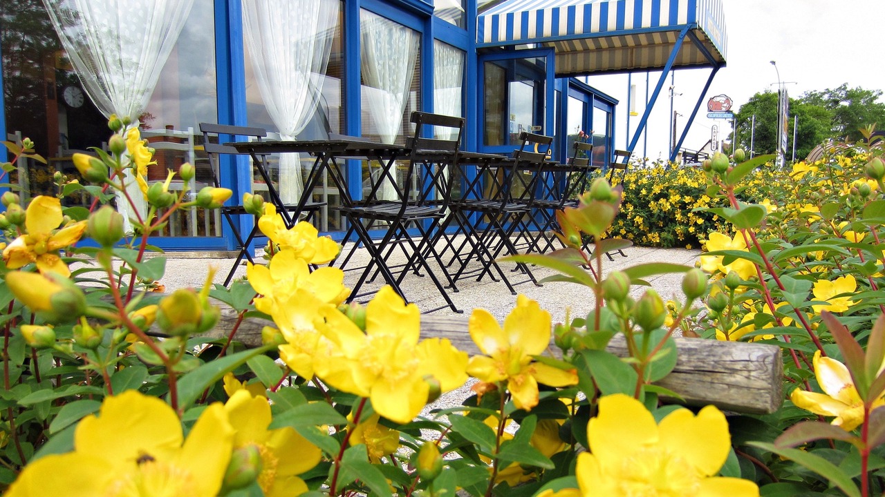 Photo of Buildings in Saint-Gervais-la-Foret