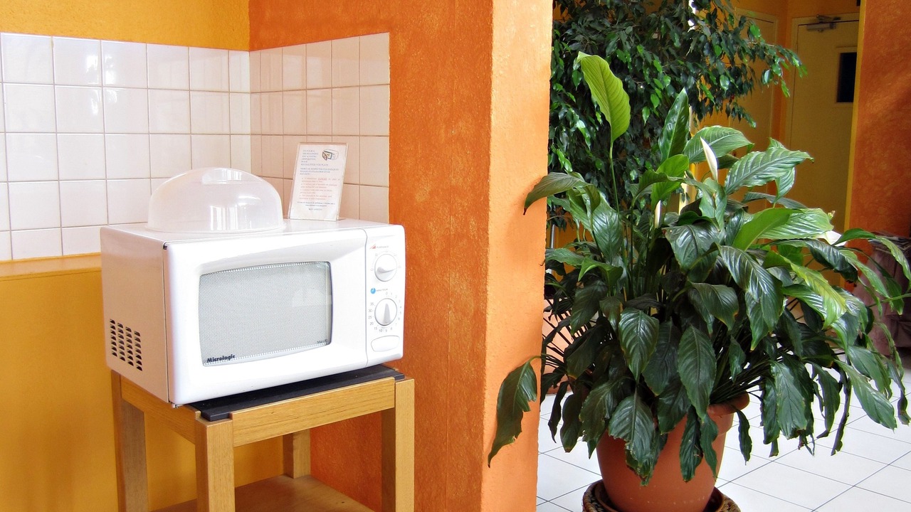 Photo of Others in Saint-Gervais-la-Foret