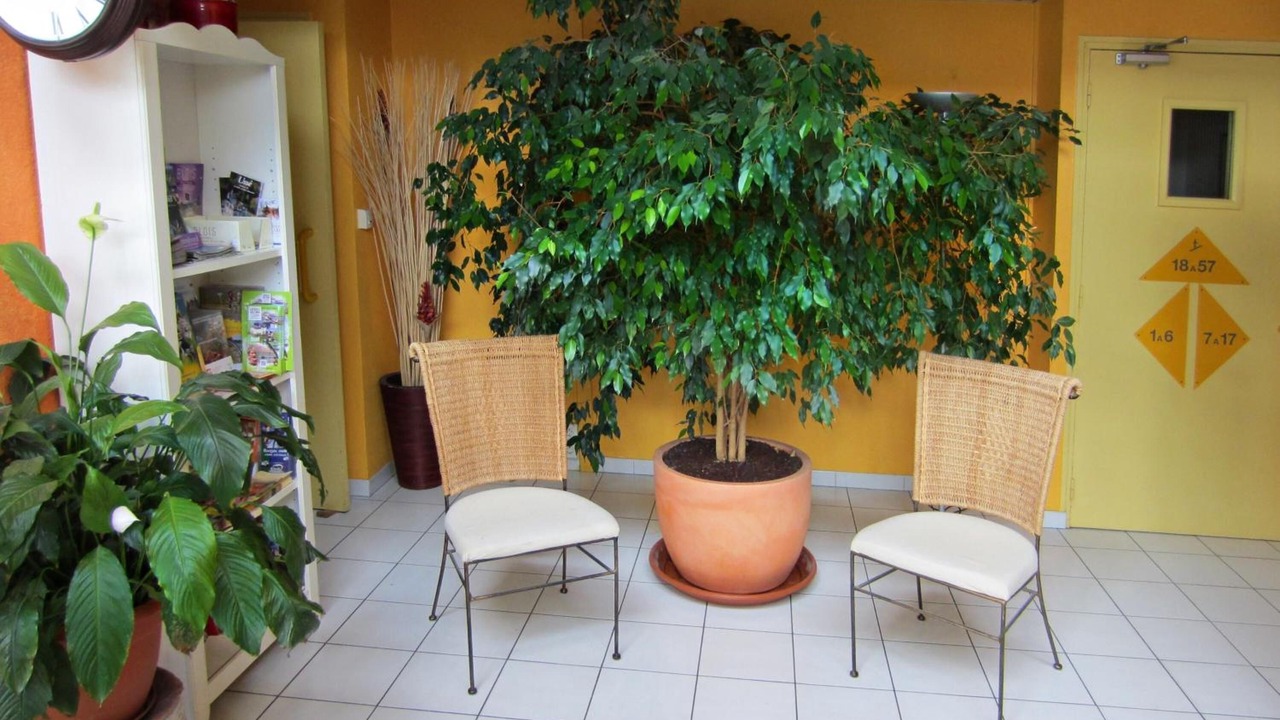 Photo of Others in Saint-Gervais-la-Foret