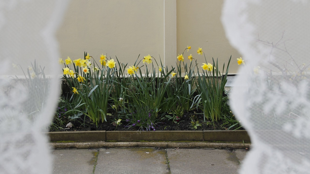 Photo of Outdoor in Kelso