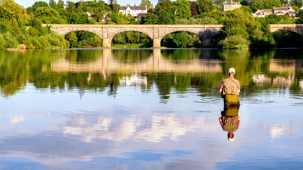 Photo of Others in Kelso