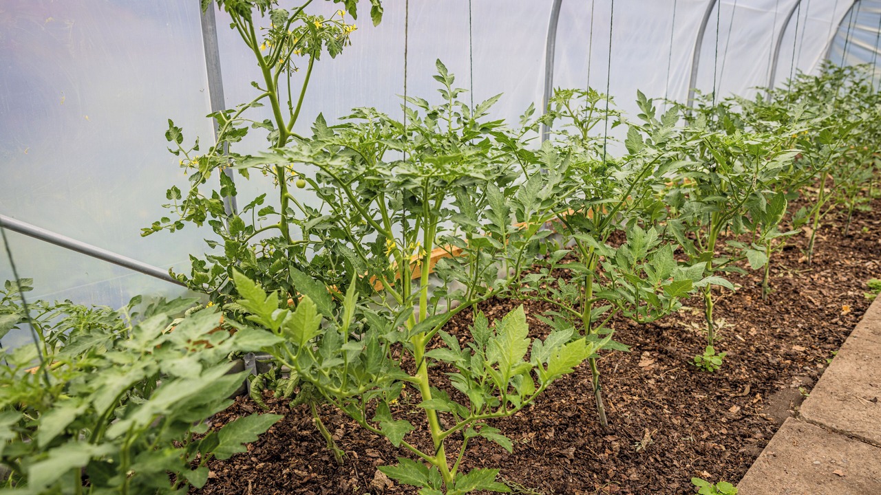 Photo of Outdoor in Little Horsted