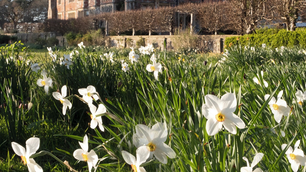 Photo of Outdoor in Little Horsted