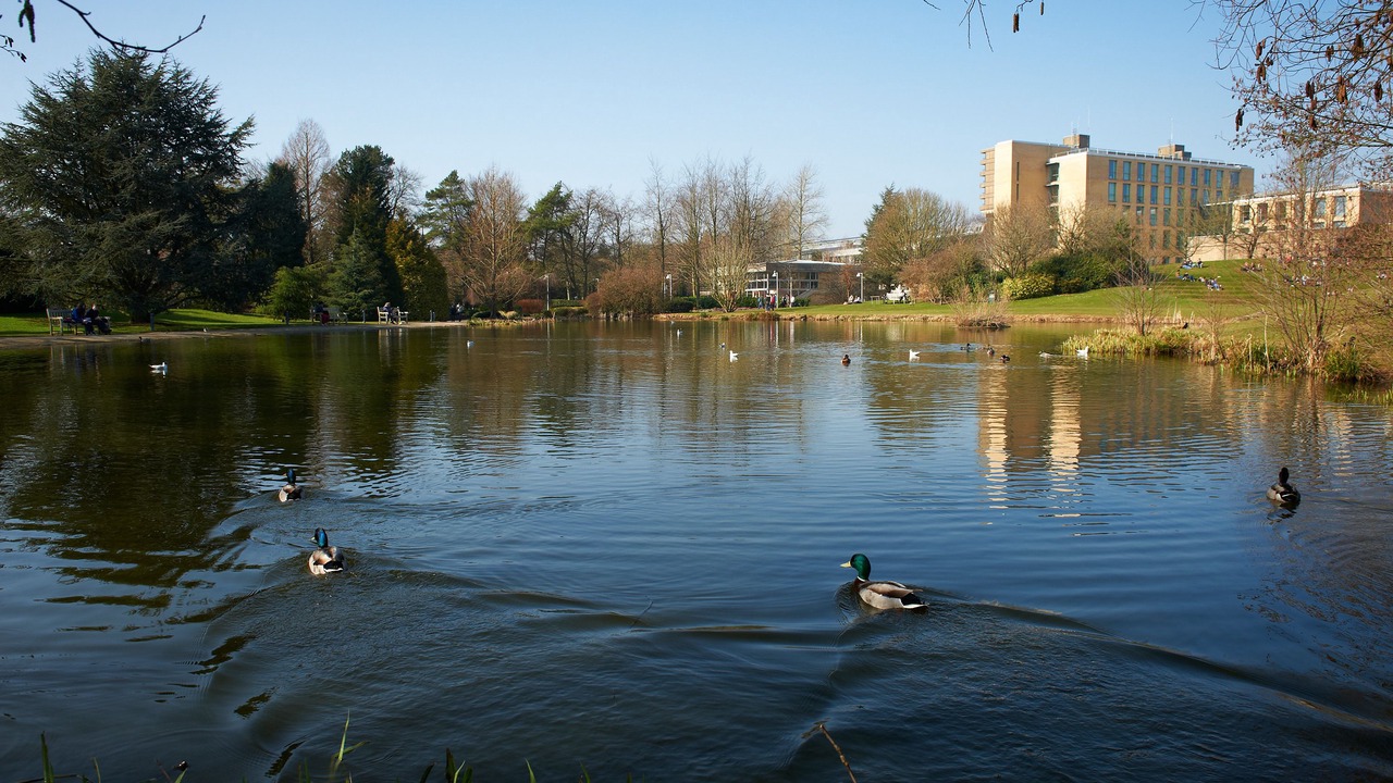 Photo of Outdoor in Claverton