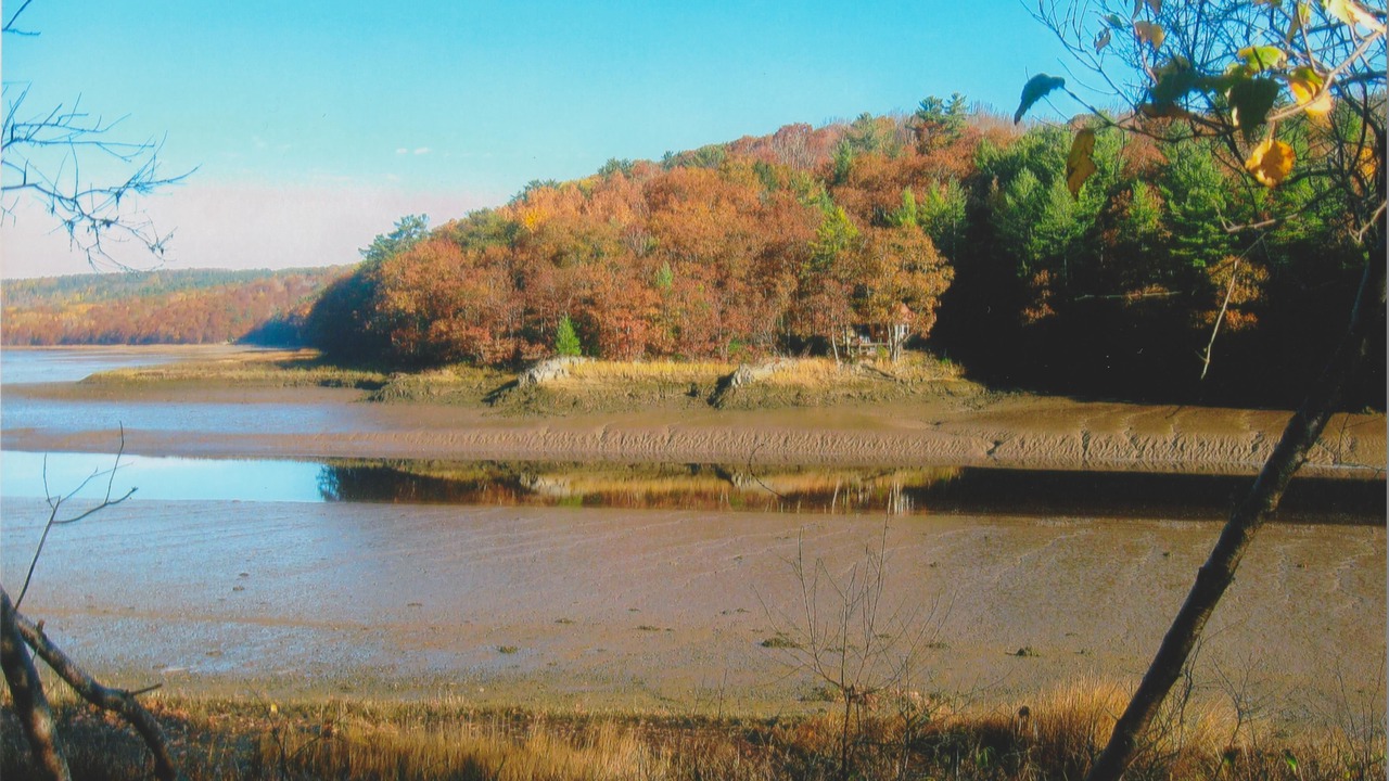 Photo of Others in Bear River