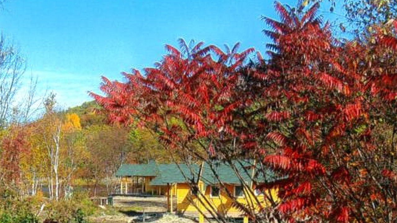 Photo of Outdoor in Bear River