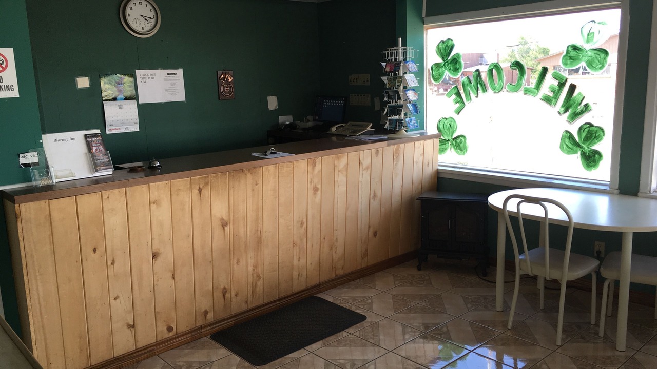 Photo of Others in Shamrock