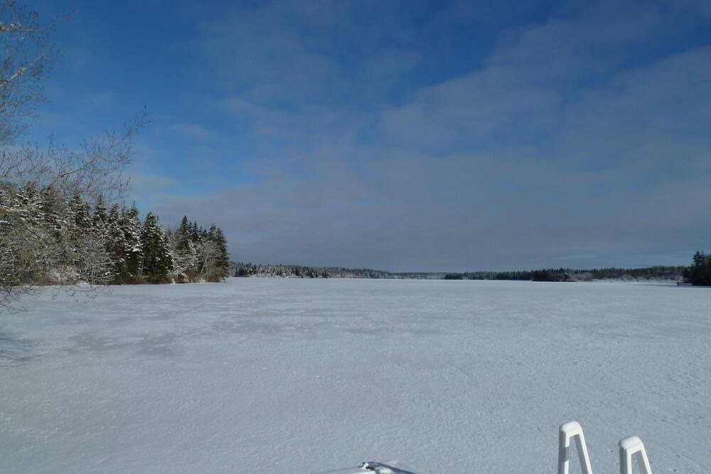 Photo of Others in Port Maitland