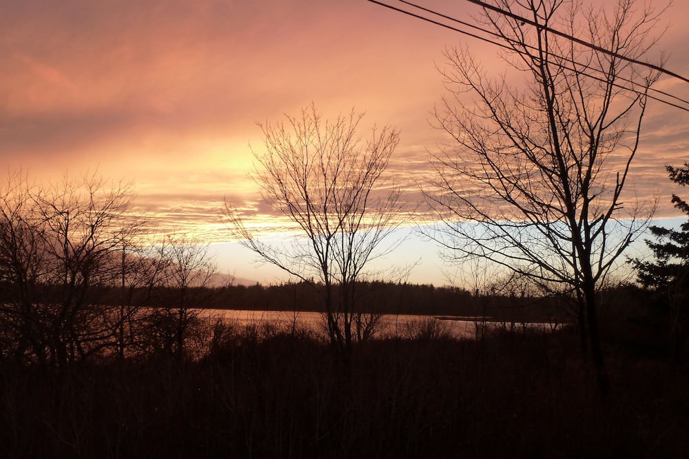 Photo of Others in Port Maitland