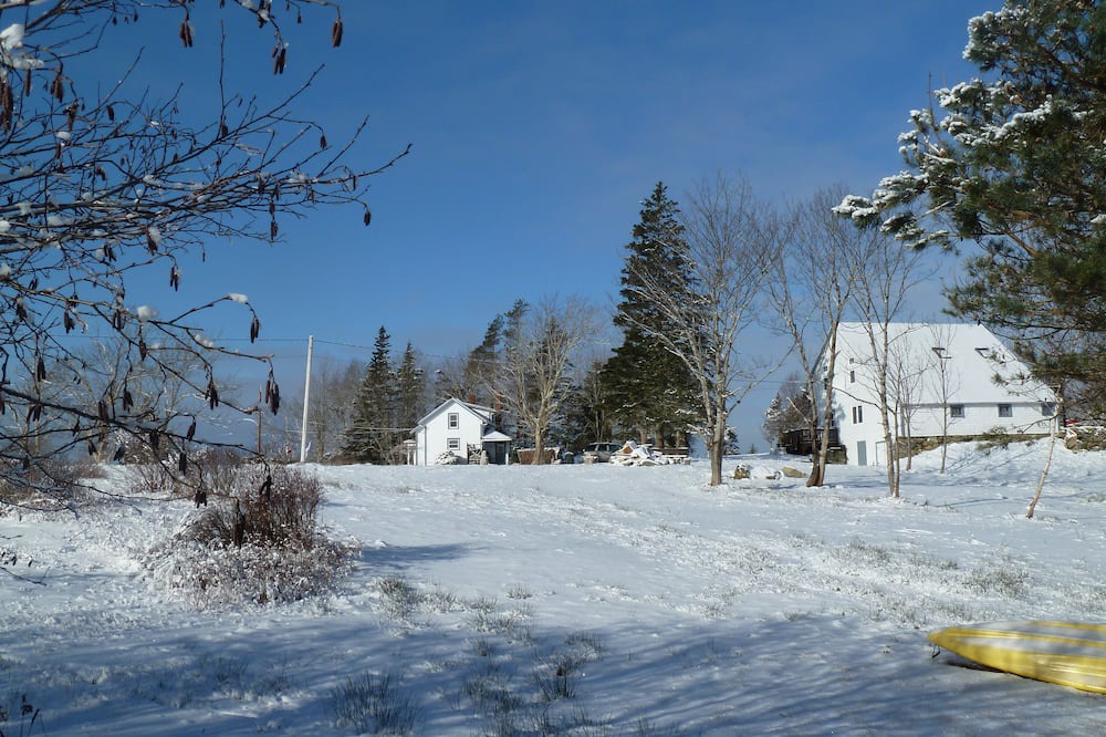 Photo of Outdoor in Port Maitland