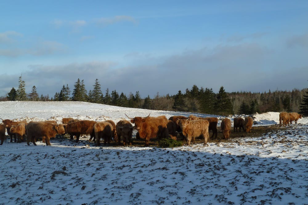Photo of Others in Port Maitland