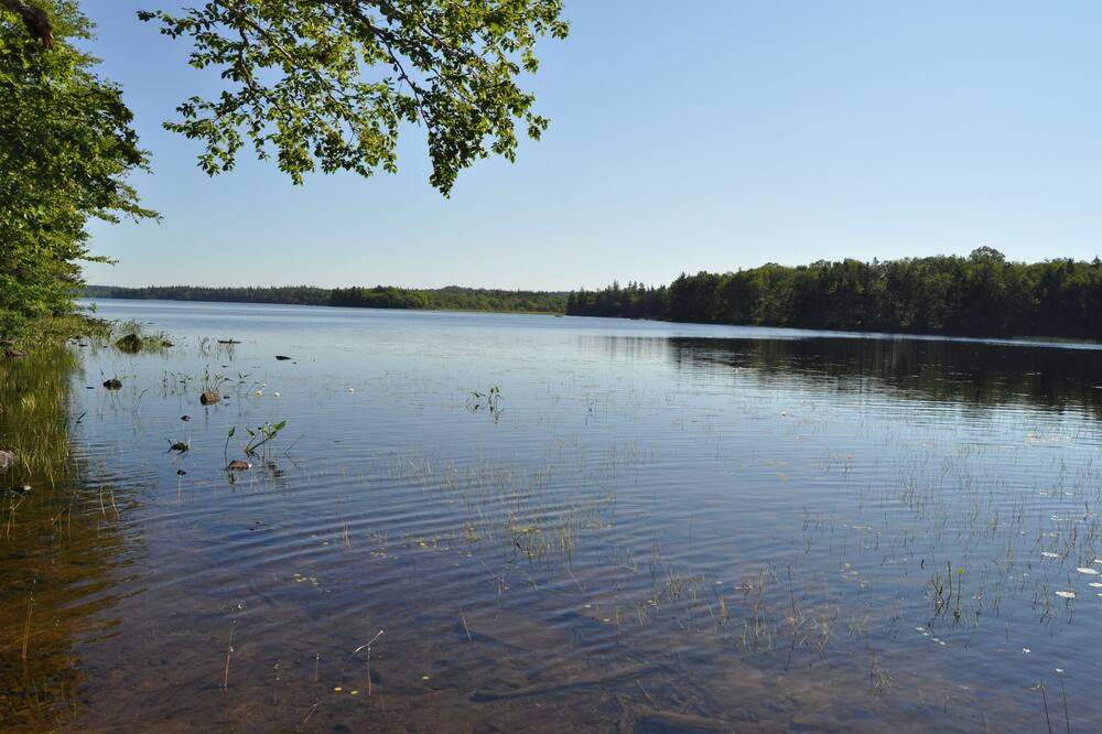 Photo of Outdoor in Port Maitland
