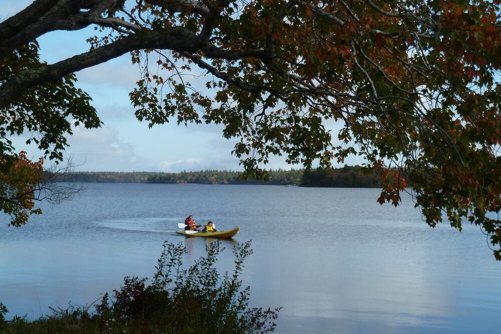 Photo of Others in Port Maitland