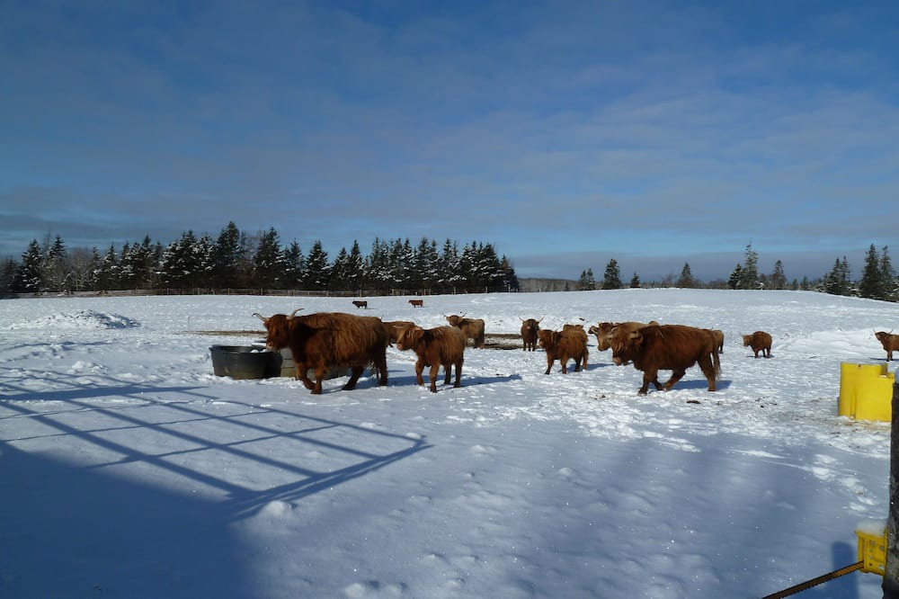 Photo of Others in Port Maitland