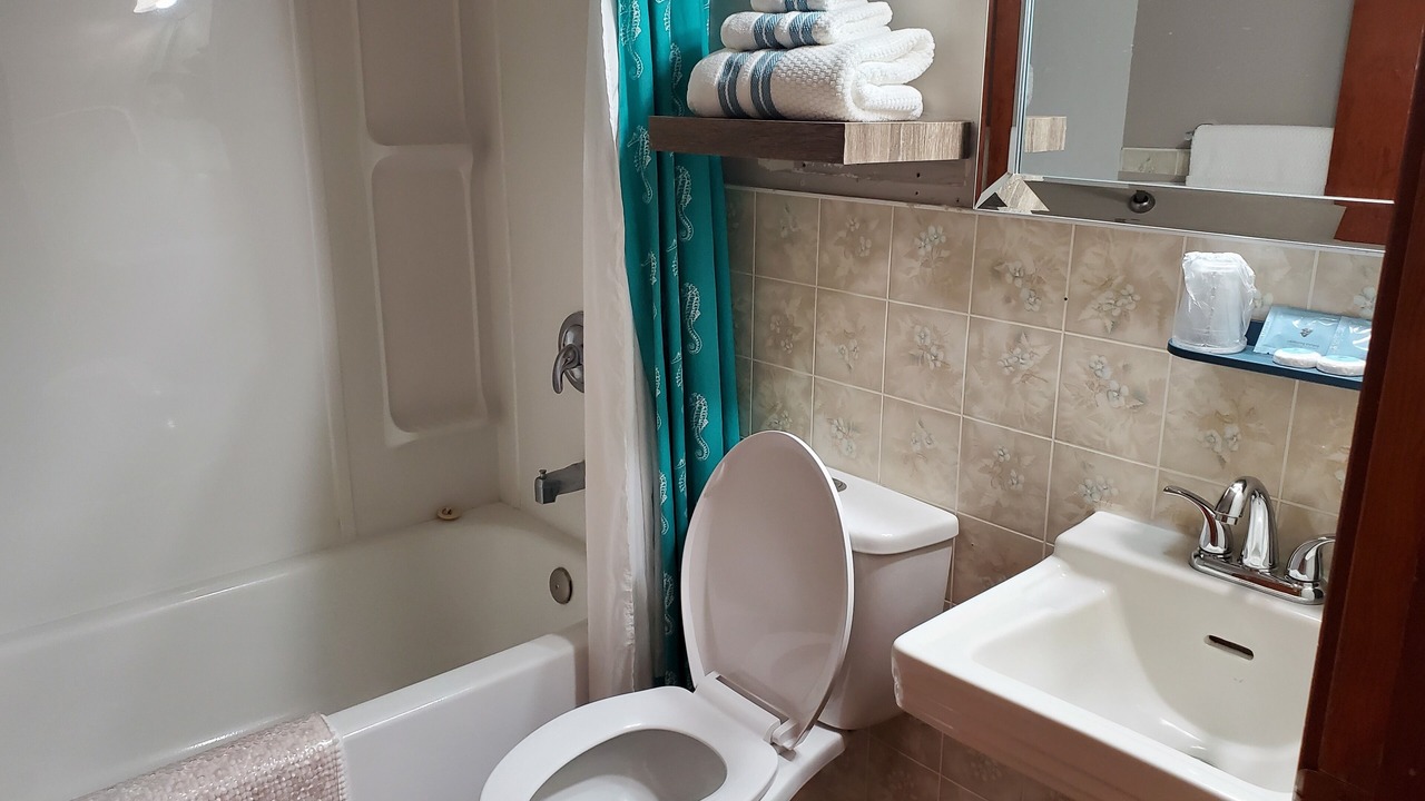 Photo of Bathroom in Wolseley