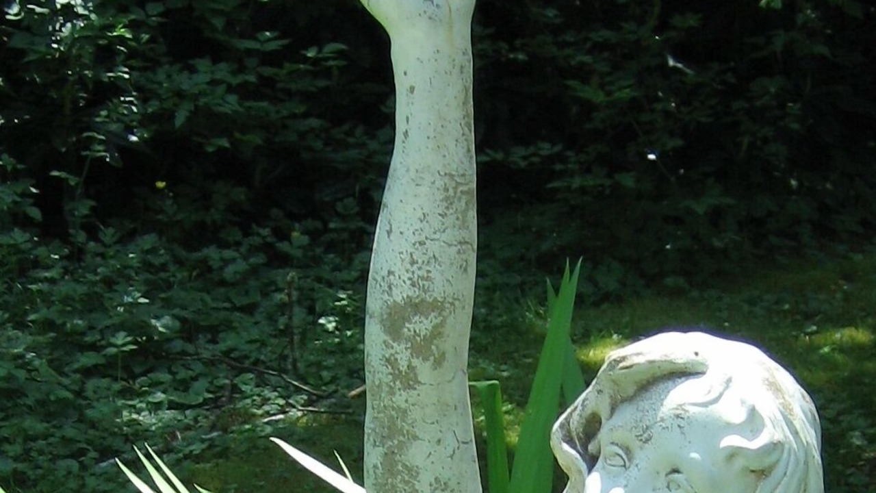 Photo of Outdoor in Ocean Park