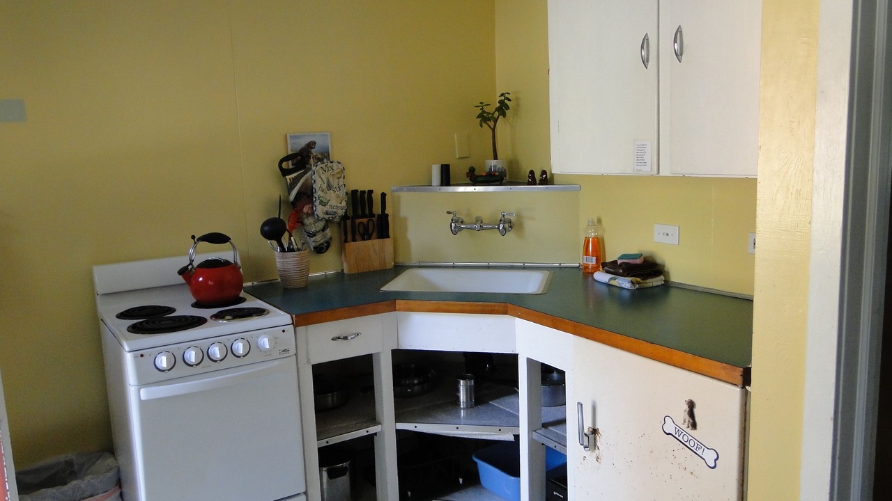 Photo of Others in Ocean Park