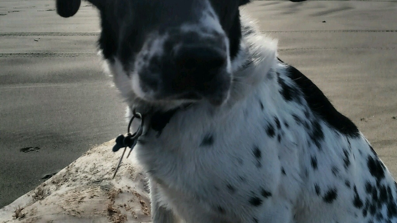 Photo of Outdoor in Ocean Park