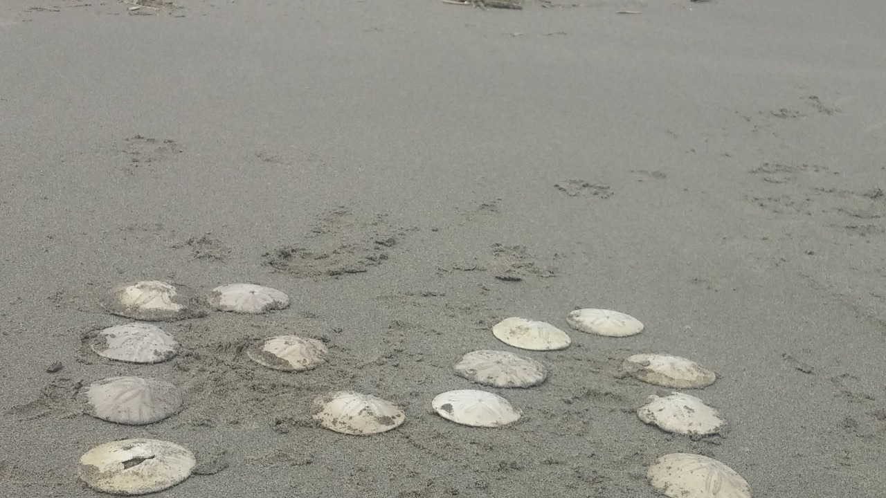 Photo of Others in Ocean Park