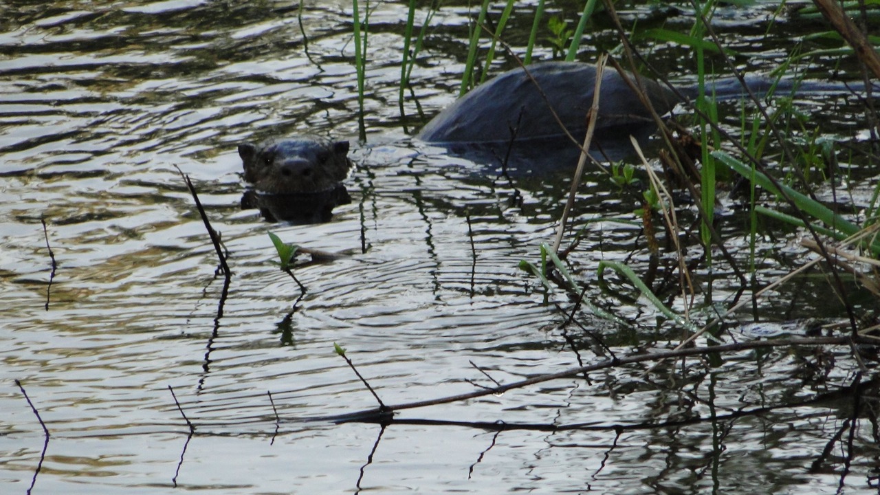 Photo of Outdoor in Ocean Park