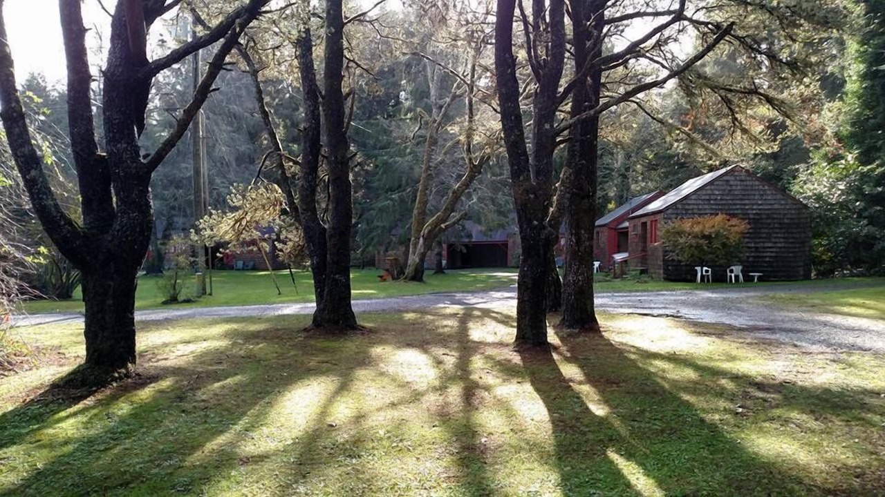 Photo of Outdoor in Ocean Park