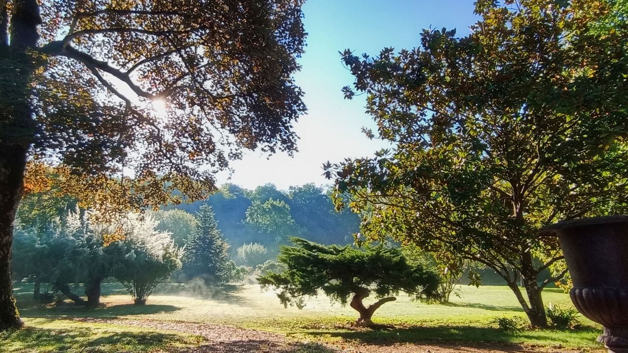 Photo of Outdoor in Mesland