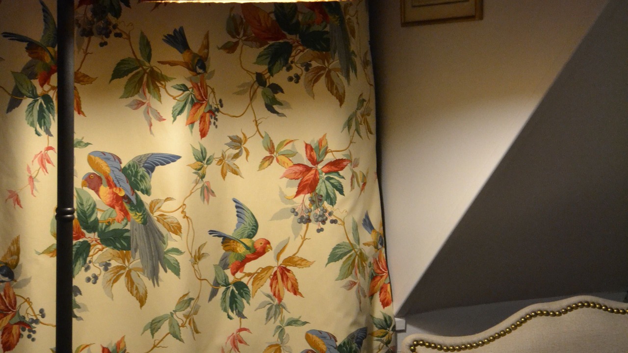 Photo of Outdoor in Mesland