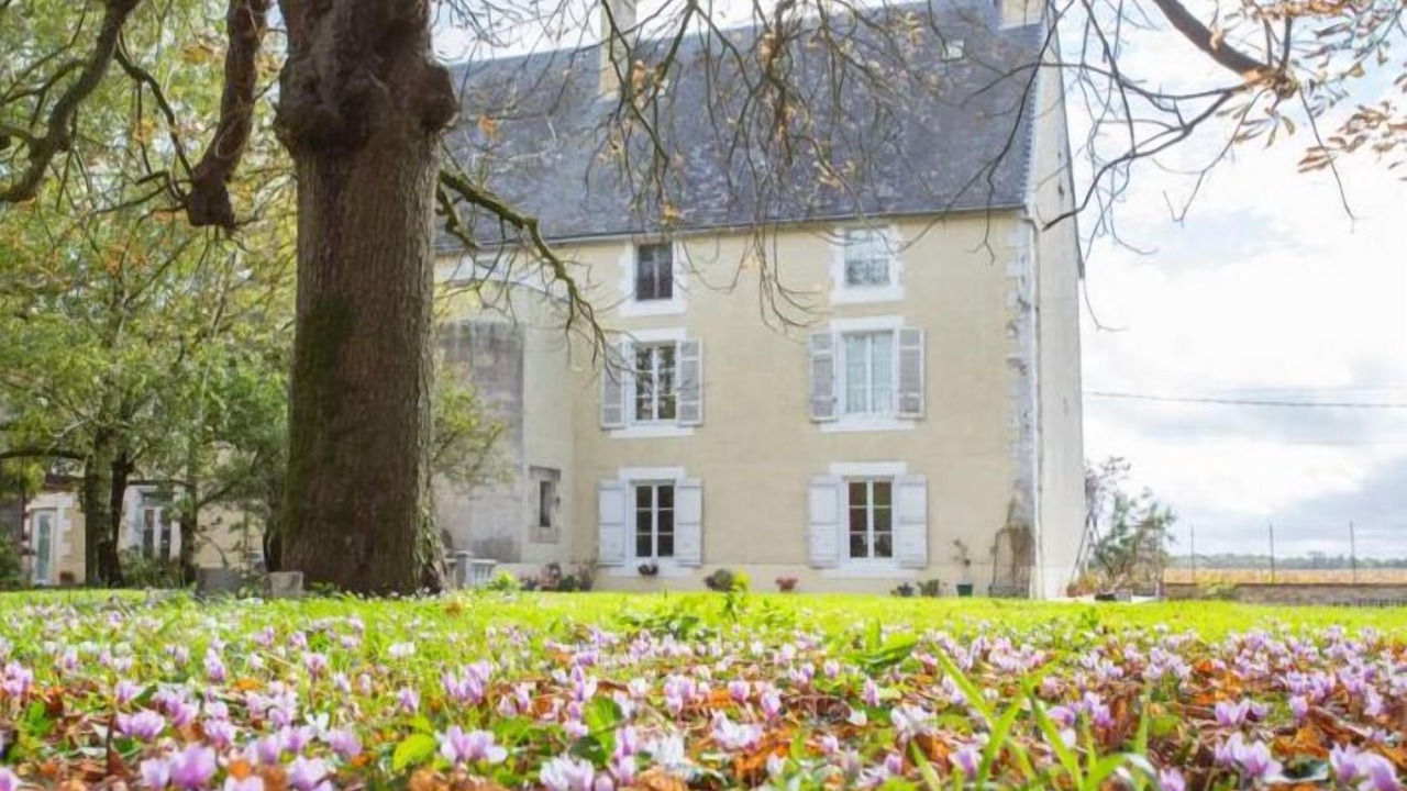 Photo of Others in Ardilleux