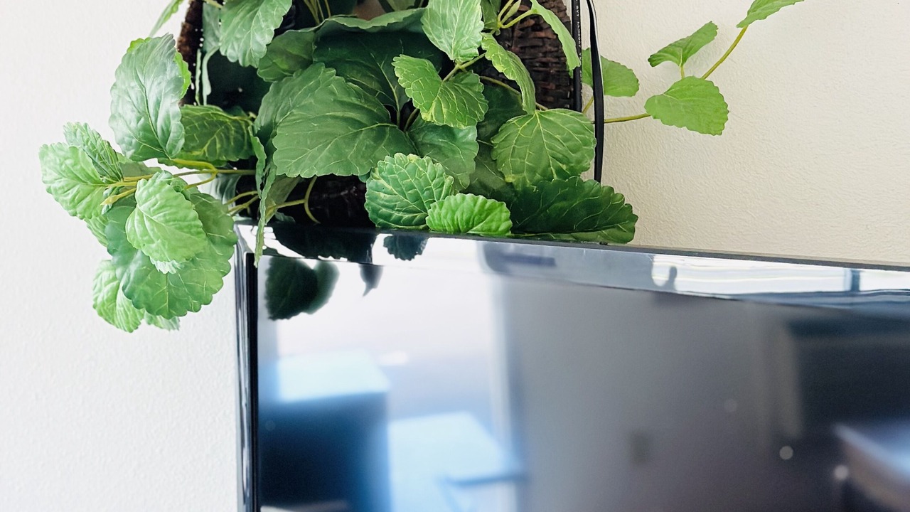 Photo of Bedroom in Davenport