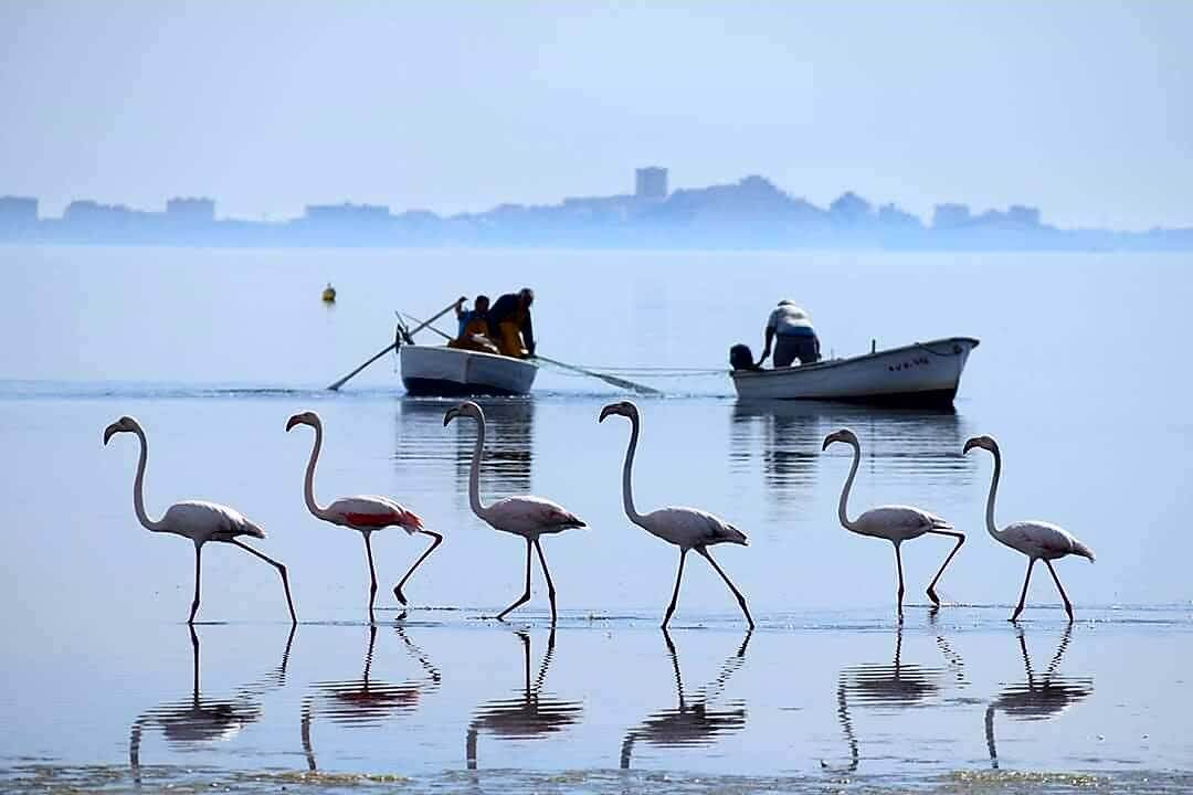 Photo of Others in Los Cuarteros