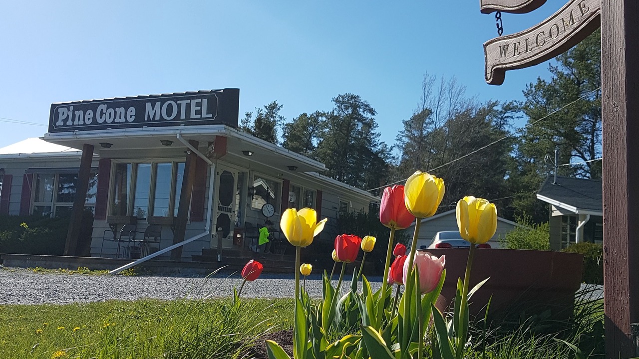 Photo of Others in Penobsquis