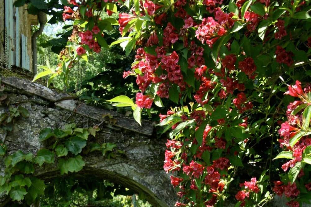Photo of Outdoor in Les Cammazes