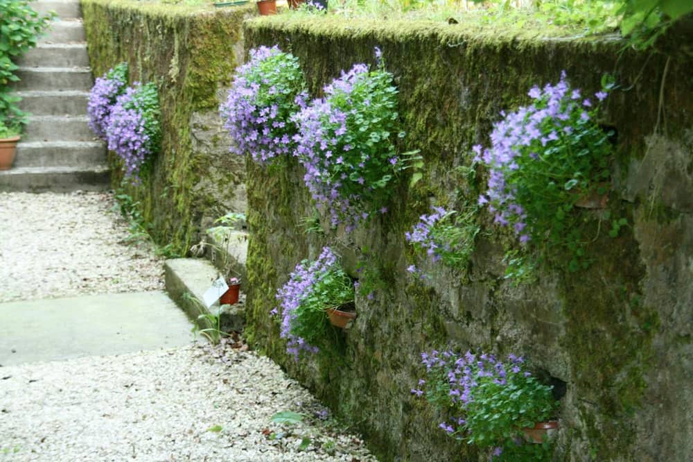 Photo of Outdoor in Les Cammazes