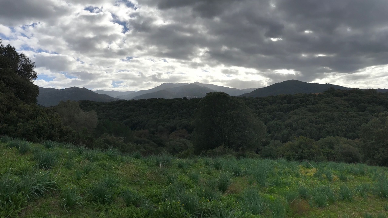 Photo of Others in Eccica-Suarella