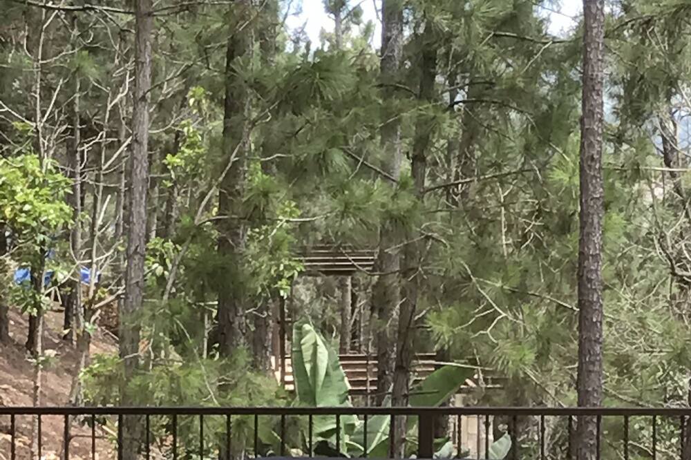 Photo of Others in Jarabacoa