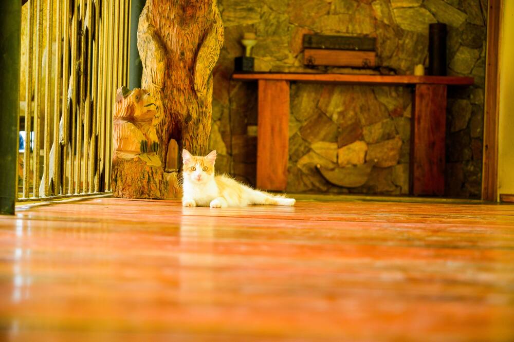 Photo of Others in Jarabacoa