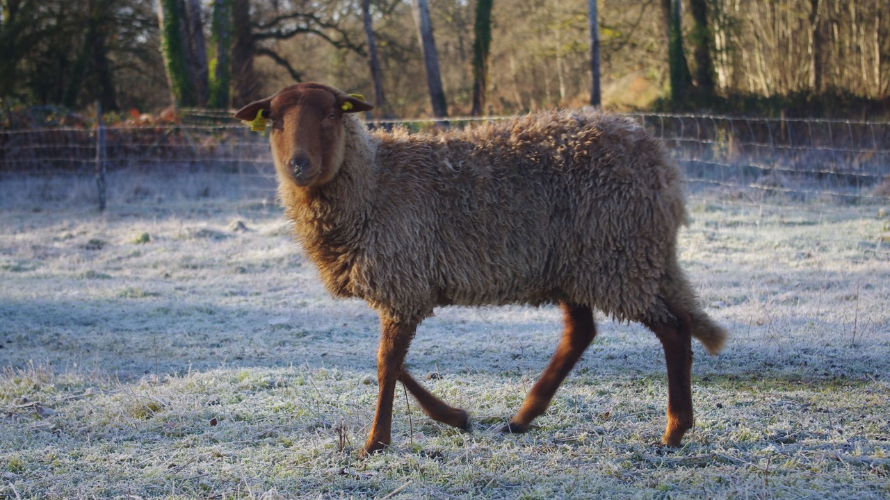 Photo of Others in Villeny