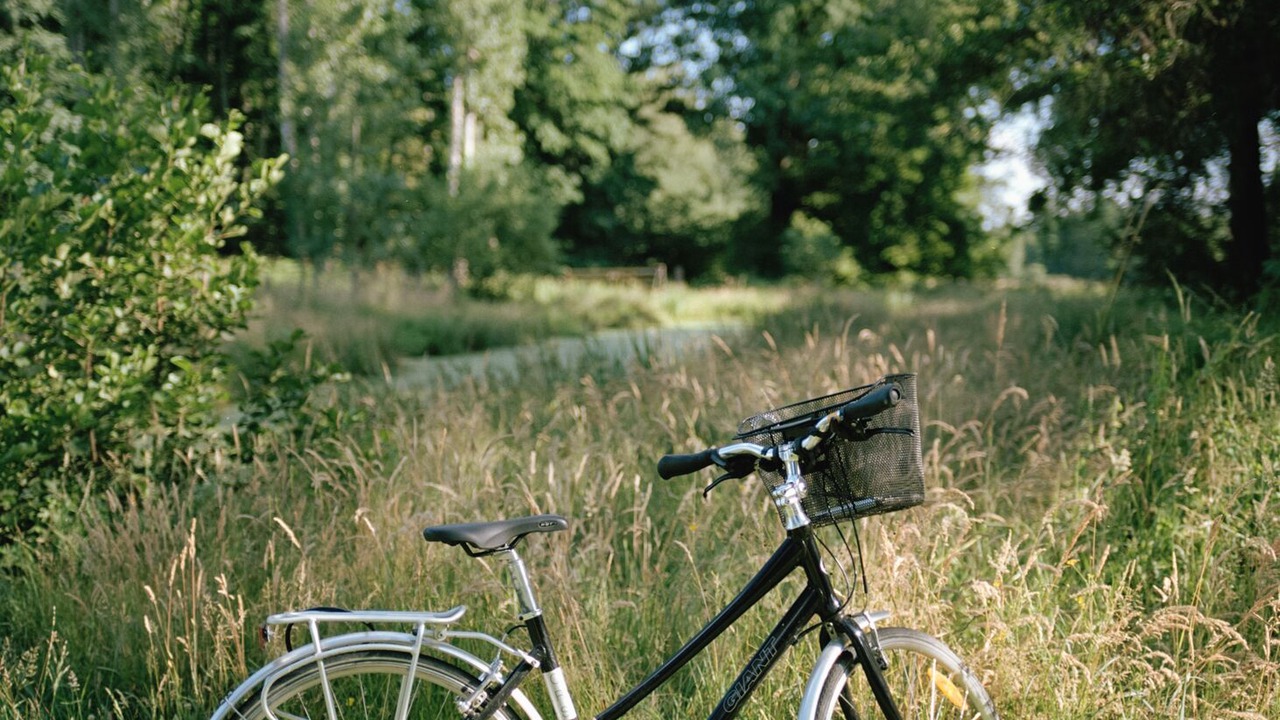 Photo of Outdoor in Villeny