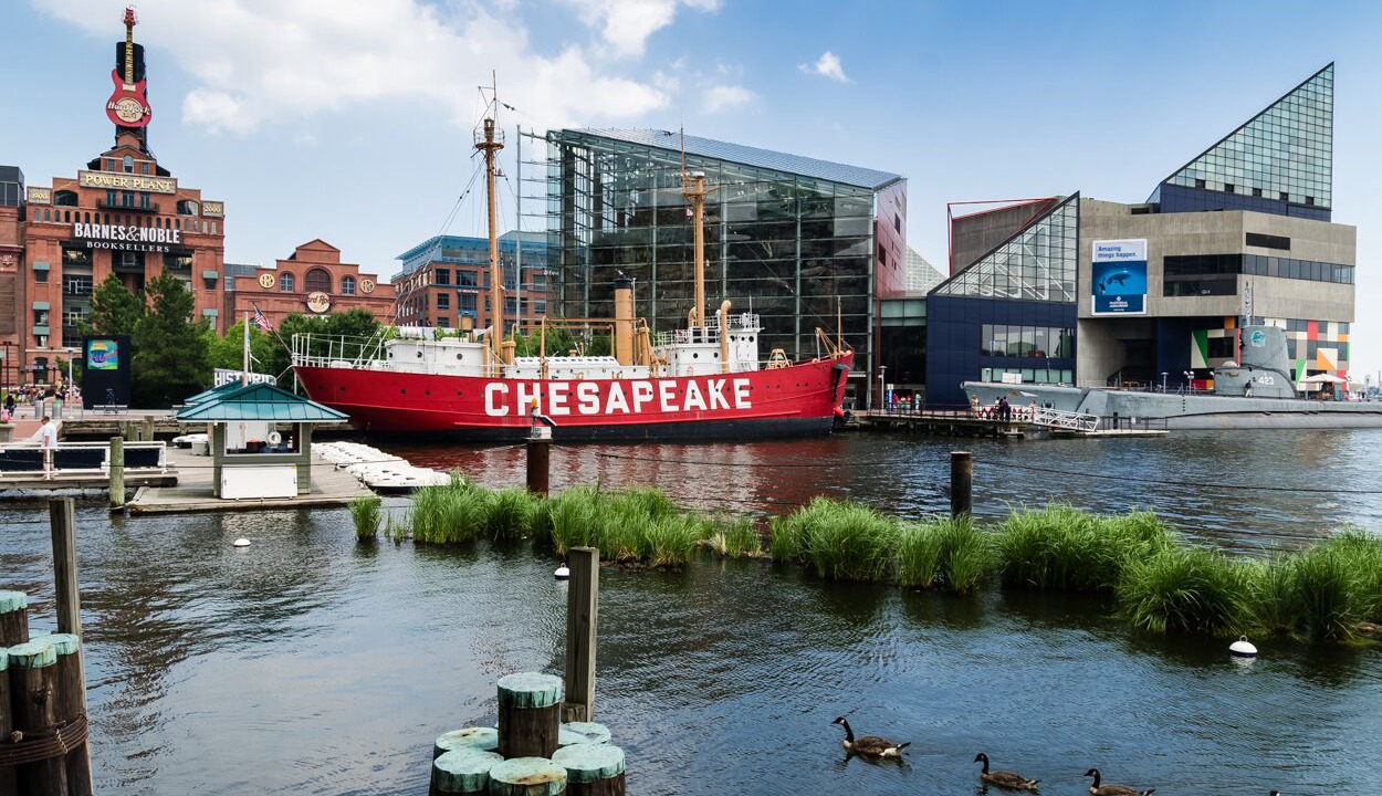 Photo of Others in Downtown Baltimore