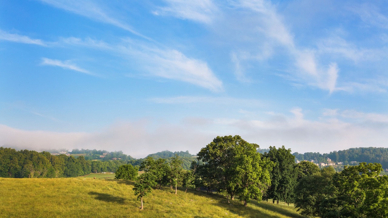 Photo of Outdoor in Johnson City