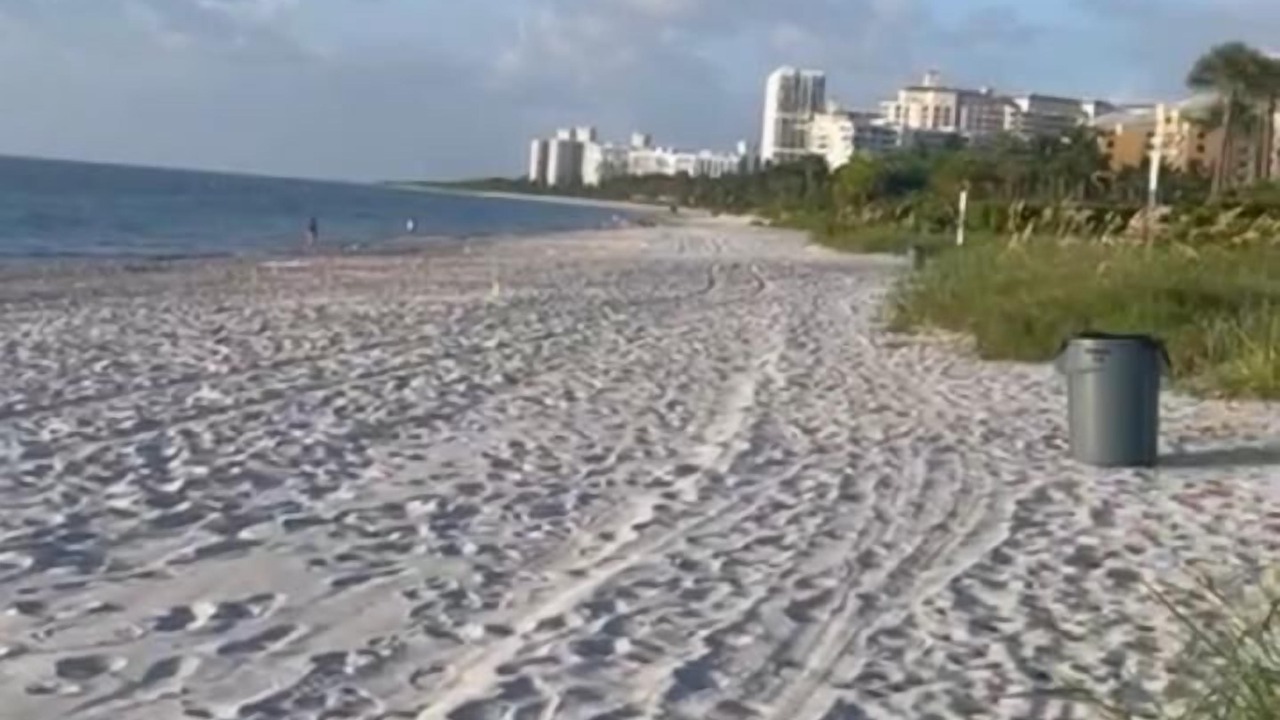 Photo of Others in Key Biscayne