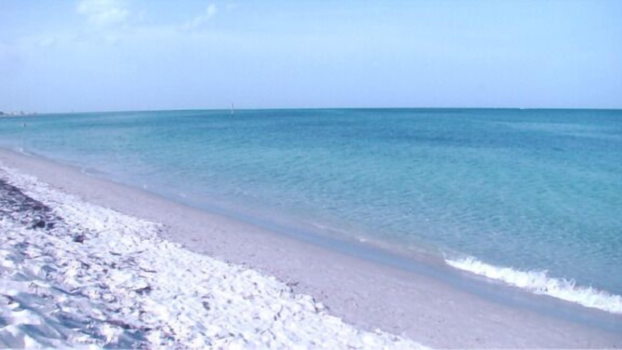 Photo of Others in Key Biscayne