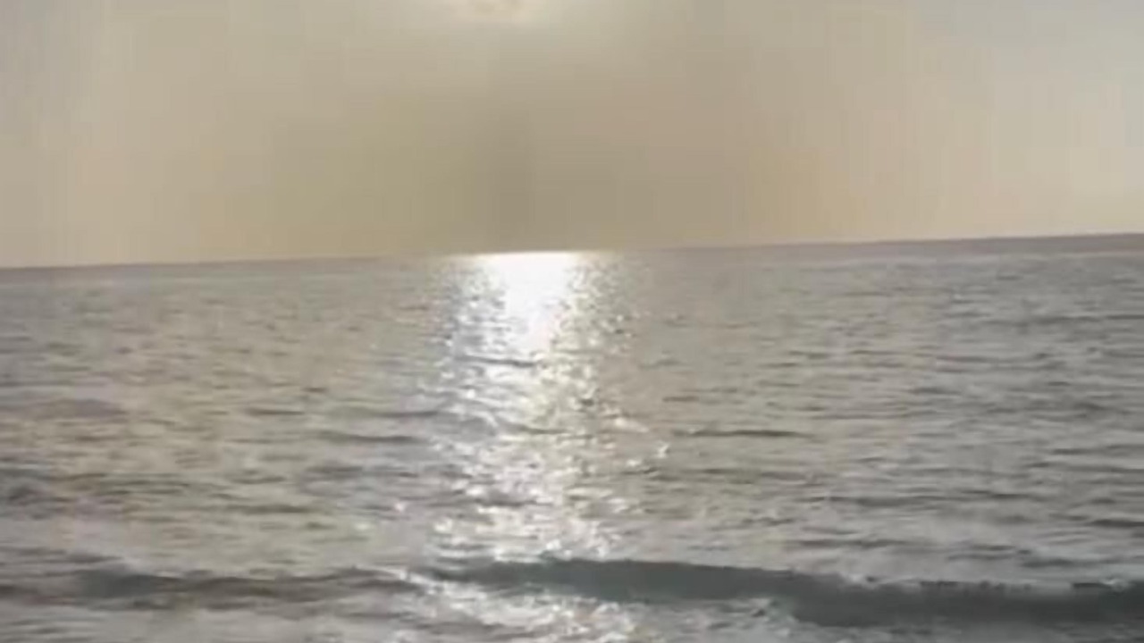 Photo of Others in Key Biscayne