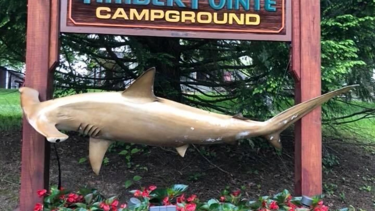 Photo of Outdoor in Jamestown