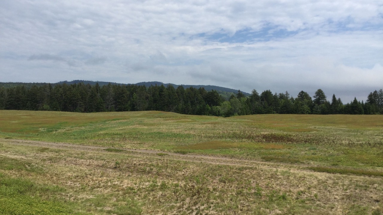 Photo of Bedroom in Parrsboro