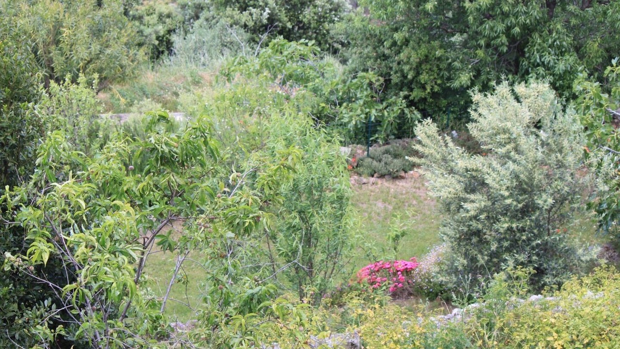 Photo of Outdoor in Belgodere