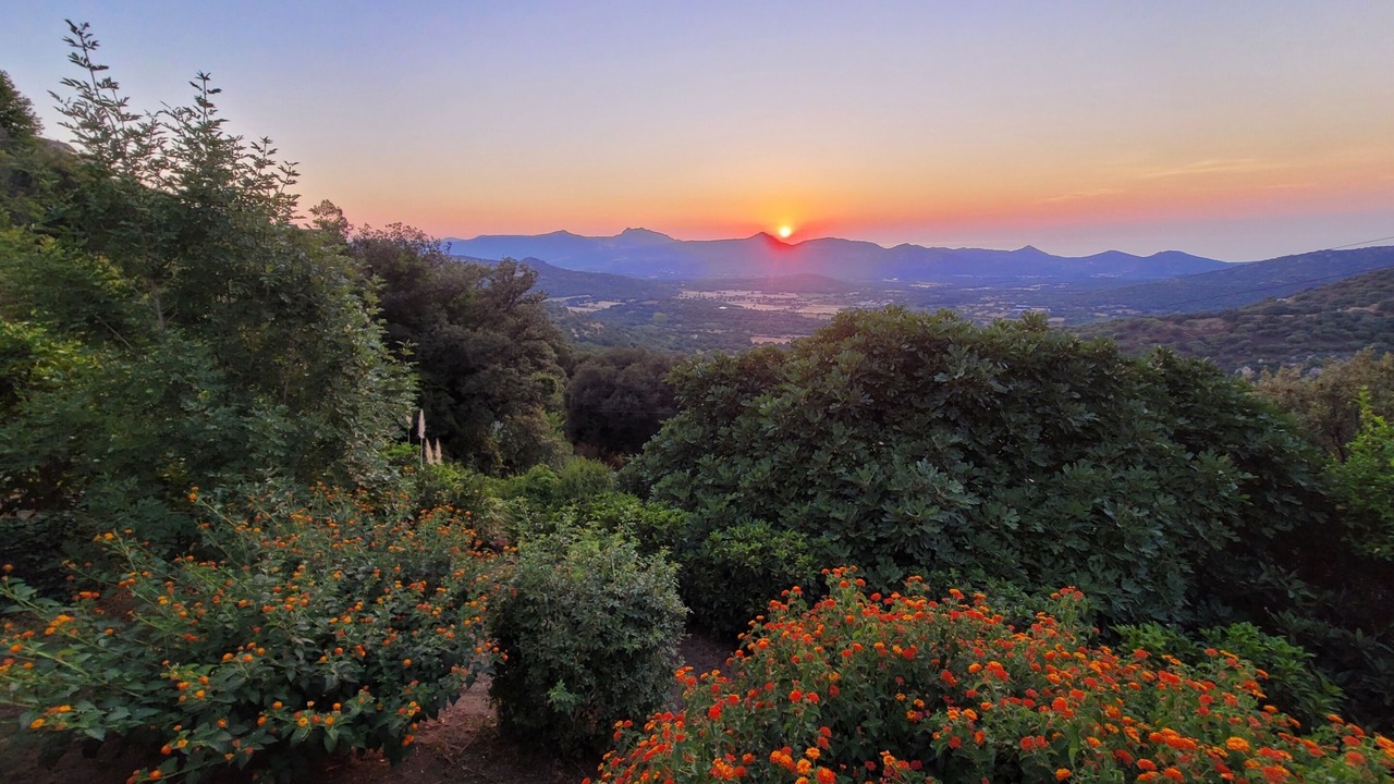 Photo of Outdoor in Belgodere