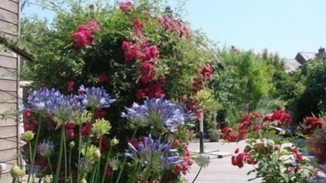 Photo of Outdoor in Sainte-Therese - Quineleu