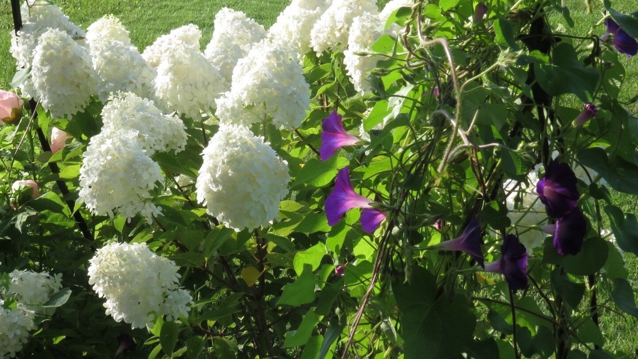 Photo of Outdoor in Clare