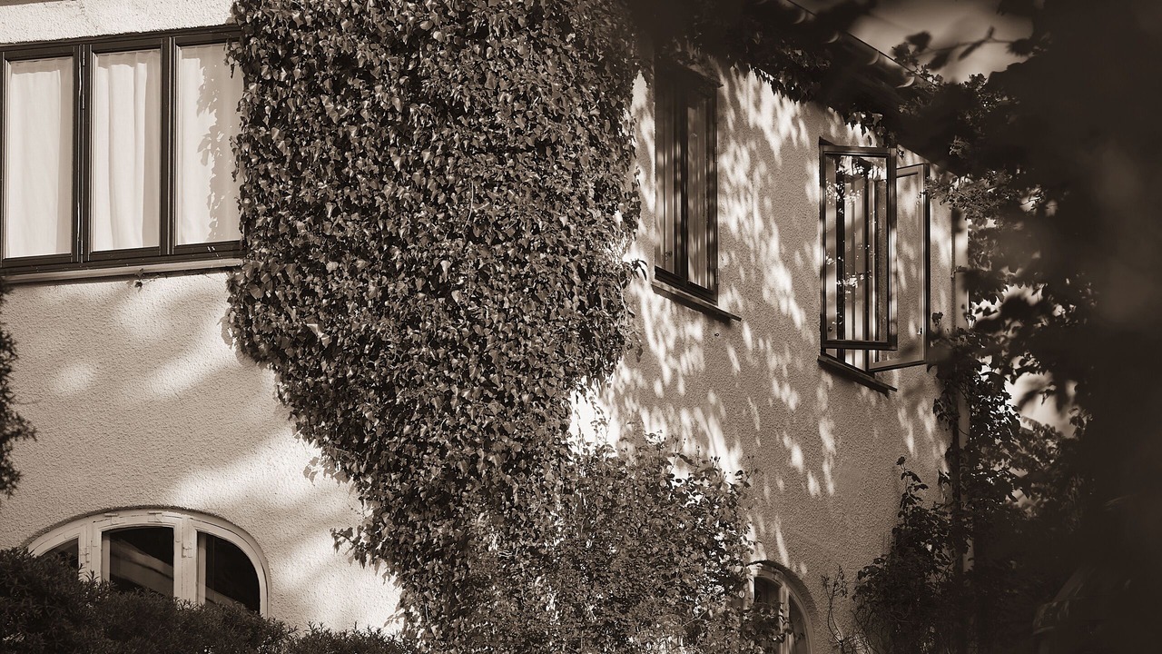 Photo of Outdoor in Tisvildeleje